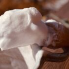 Beauty Abounded Wise Men Shaving Soap Lather