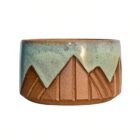 Beauty Abounded Starry Night Shaving Bowl